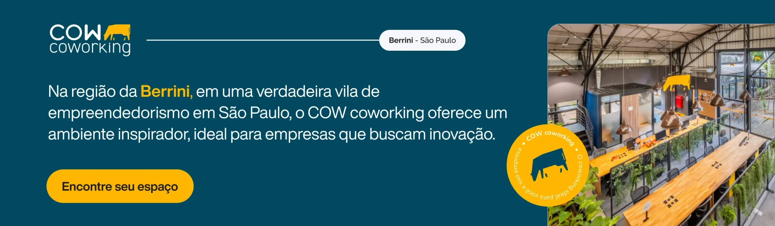 BANNER 1 - Topo do conteúdo